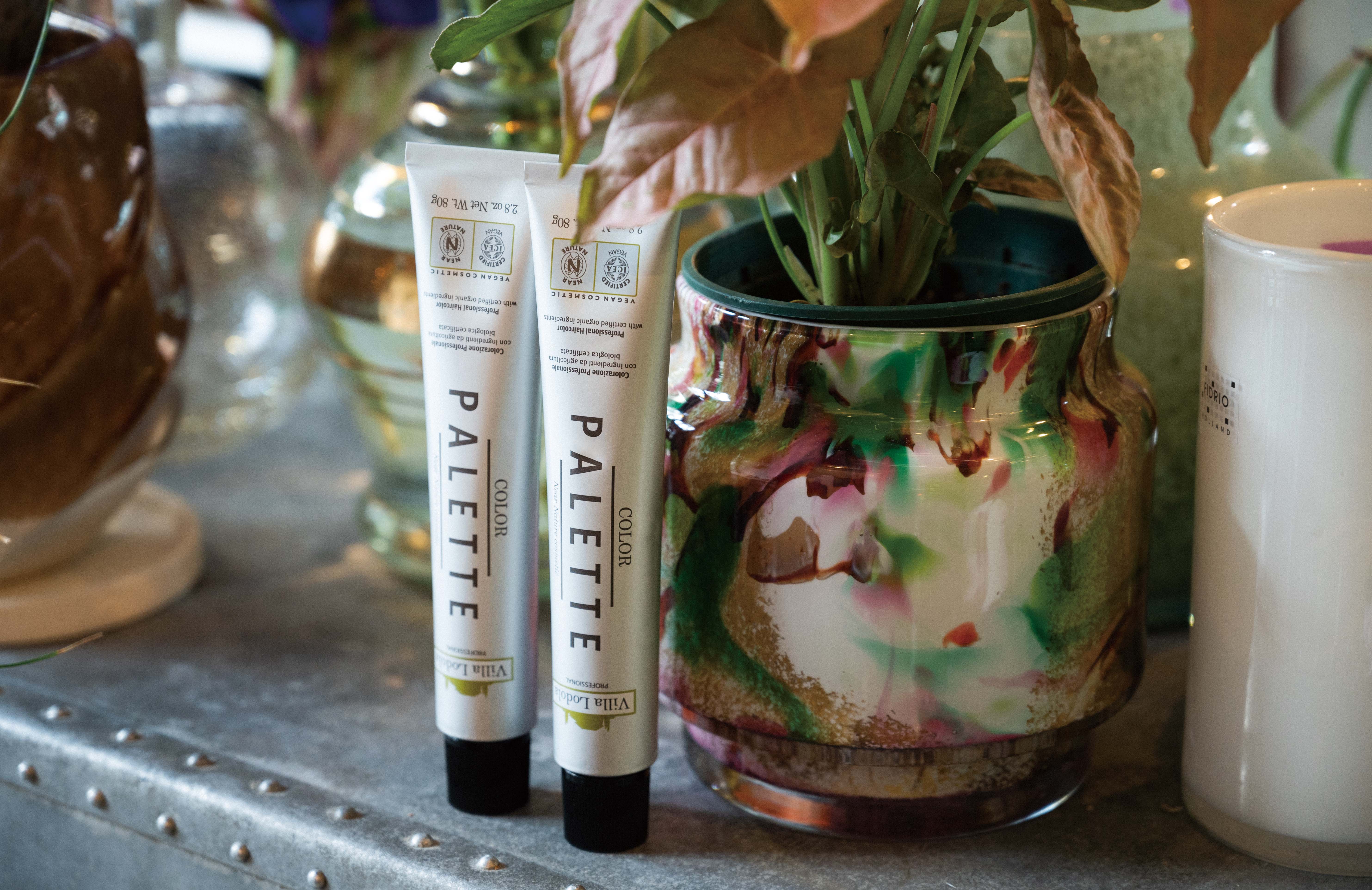 ヴィラロドラ カラー